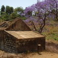 The Generous São Nicolau - The Generous