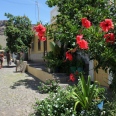 The Generous São Nicolau - The Generous