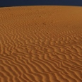 The Fascinating Boa Vista